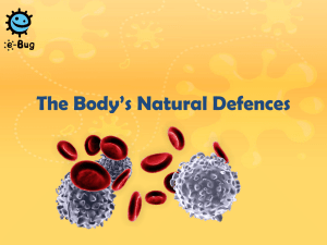 The blood showing white and red blood cells - e-Bug