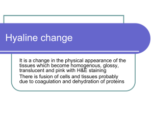 04-Hyaline change and Amyloidosis