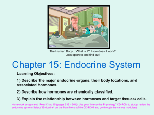 Chapter 15: Endocrine System