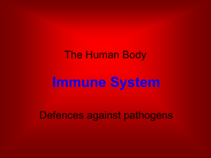 10489375-Bio_body_Immune_Sys_2