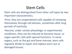 Stem Cells - Franklin College