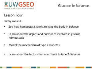 for Lesson 4: Glucose in balance