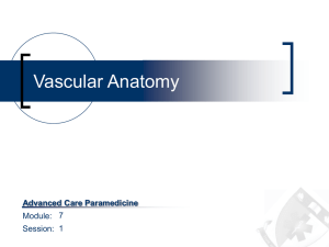 Session 01 (Vascular Anatomy)