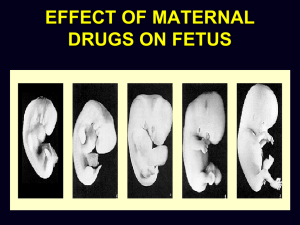 effect of maternal drugs on fetus maternity nursing