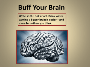 Buff Your Brain