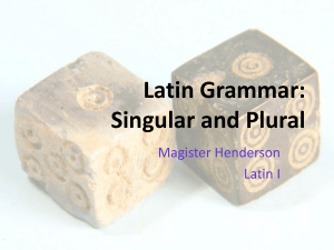 Latin Grammar: Singular and Plural