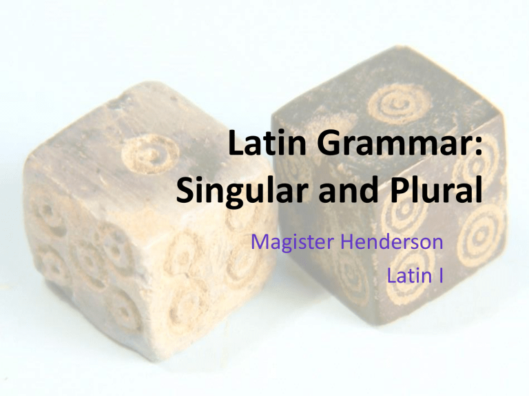 Latin Grammar Singular And Plural