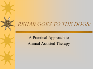 REHAB GOES TO THE DOGS: - Minnesota Brain Injury Alliance