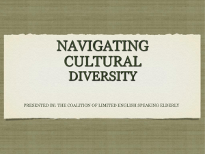 NAVIGATING CULTURAL DIVERSITY & INTEGRATION