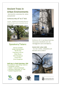 Ancient Trees in Urban Environments