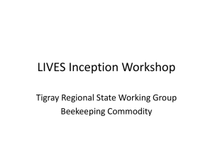 Tigrai Group work-Livestock- Yayneshet - LIVES