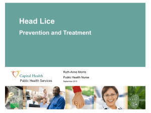 Head Lice presentation Sept 2013