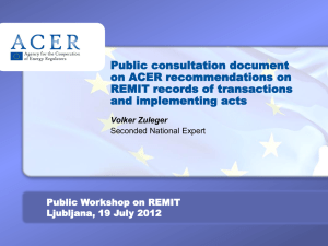 120719_public consultation document on records - ACER