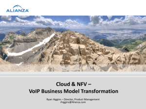 Higgins-Cloud-and-NFV-–-VoIP-Business-Model