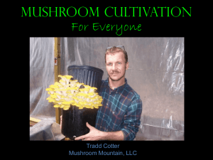 Mushroom Cultivation VABC Conference Text Slides