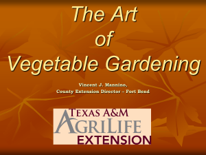 Commonsense Vegetable Gardening for the Texas Gulf Coast