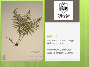 WILLI - College of William and Mary