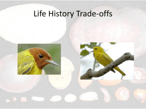 Life-history Trade-offs