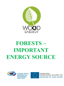 3. Forests - Important Energy Source
