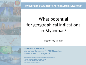 What potential for Geographical indications in Myanmar?