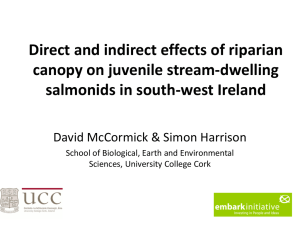 Direct and indirect effects of riparian canopy on juvenile stream