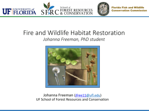 Fire and Wildlife - School of Forest Resources & Conservation