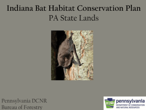Indiana Bat Habitat Conservation Plan PA State Lands