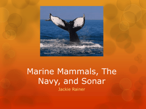 Marine Mammals and Sonar
