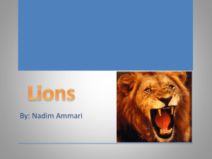 Lions (1) - UpWardBoundSummerScience