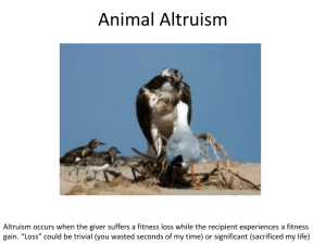 animal altruism
