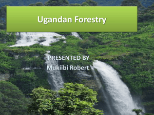 Forests of Uganda