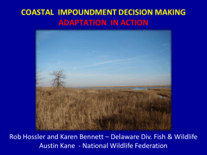 managing coastal wetland impoundments in an era of climate change