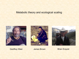 Metabolic theory