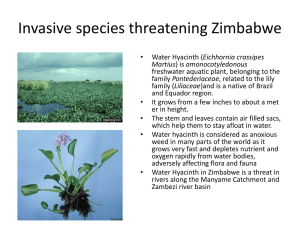 Invasive species threatening Zimbabwe...Download