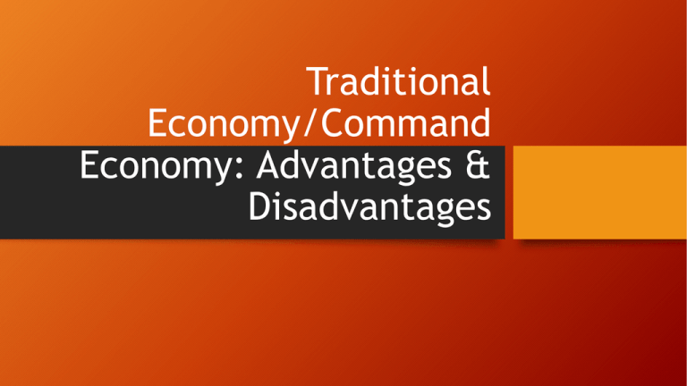 Traditional Economy Advantages Disadvantages