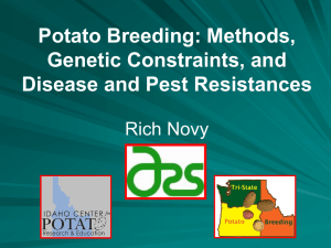 2014 Potato Science Lect 19 – Breeding-Genetics