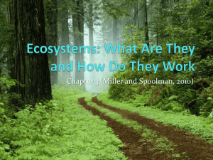 Ecosystems: What Are They and How Do They Work
