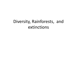 Diversity, Rainforests and extinctions