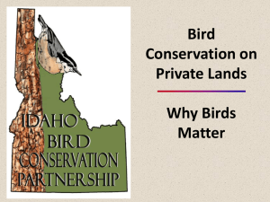 Why Birds Matter for NRCS