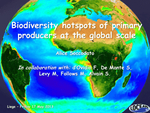 Biodiversity hotspots of primary producers at the global scale