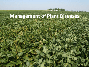 09 Managing Plant Diseases