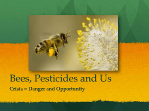 Bees, Pesticides and Us