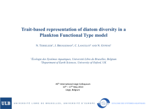 Trait-based representation of diatom diversity in a Plankton
