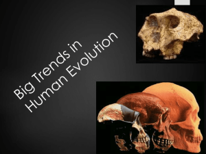Six Big Events in Human Evolution