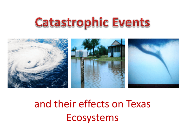 Catastrophic Events 1 