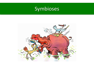 Symbioses