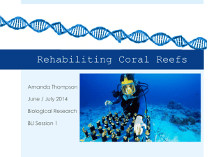 Synthetic Biology*s Role in Saving Coral Reefs - BLI
