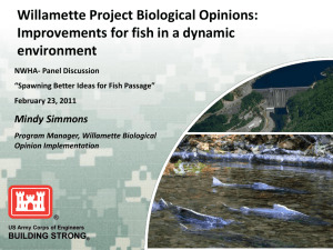 Willamette Project Biological Opinions: Improvements for fish in a