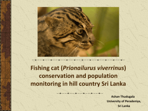 project to save Fishing Cats.