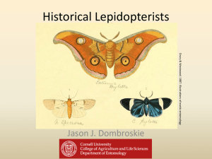 Historical Lepidopterists
